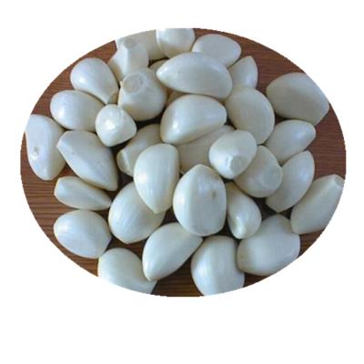 China IQF FROZEN Hot Selling Frozen Garlic Vegetables for sale