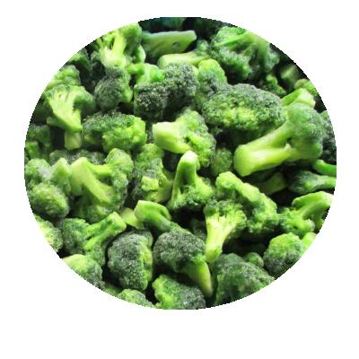 China New Culture IQF Frozen Broccoli Organic Vegetable Frozen Vegetables for sale