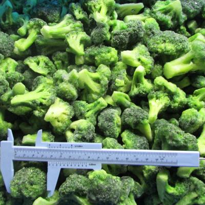 China IQF Frozen Fresh Broccoli Hot Selling Frozen Vegetables for sale