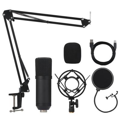 China Professional High Quality Clear Sound Studio Condenser Microphone with Clamp Kit BM700 Shock Mount and Mount for sale