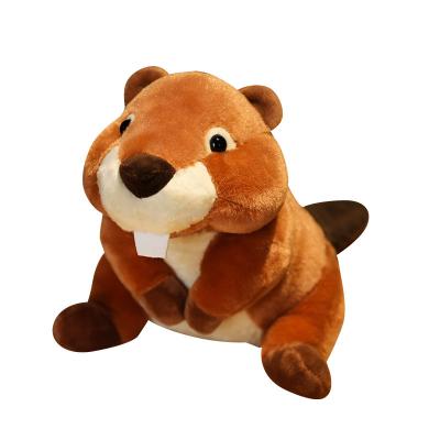 China Custom Hot Selling Plush Beaver and Groundhog Plush Gift Pillow Toy for sale