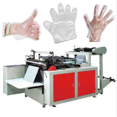 China High Speed ​​Disposable Restaurant Pe Plastic Gloves Making Machine Price for sale