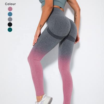 China Wholesale Breathable Workout Clothes Women's Gym Leggings Butt Lifting Panties Seamless Yoga Quick Dry Legging for sale