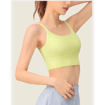 China High Quality Breathable Women Yoga Wear Top Seamless Sports Bra Fitness Sexy Sports Push Up Bra for sale