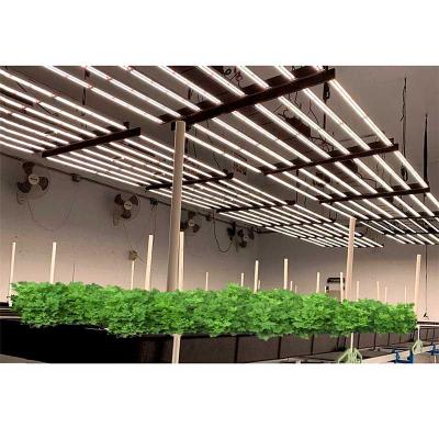 China Seed Starting Raised Green Etl Listed Type 8 Bar Ppf 1000W Indoor Herbal High Led Grow Light Gavita for sale