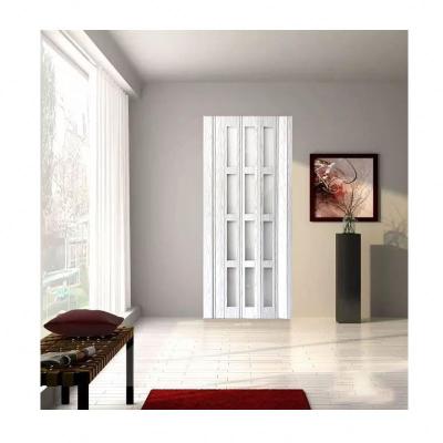 China Modern Stylish Appearance HFS Folding Design Door for sale