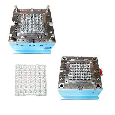 China ODM Steel/Plastic Egg Tray Injection Mold Maker OEM for sale