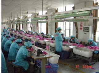 Verified China supplier - Yiwu Union Imp&Exp Co., Ltd.