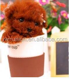 China Plush Toy Teacup Dog Toys Plush Toy Maker Customize Plush Stuffed Toy for sale