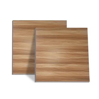 China 600*600 matt surface non-slip rustic tiles for sale