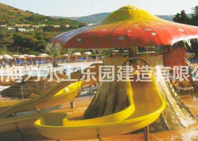 China Outdoor Mushroom Style Fiberglass Water Slide / Kids Water Slide for sale