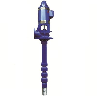 Cina Food And Beverage Industry Submersible Long Shaft Diesel Vertical Turbine Water Pump For Deep Well in vendita