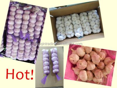 China China /Chinese fresh fresh garlic new bundles, 200g, 250g, 500g, 1kg/net for sale