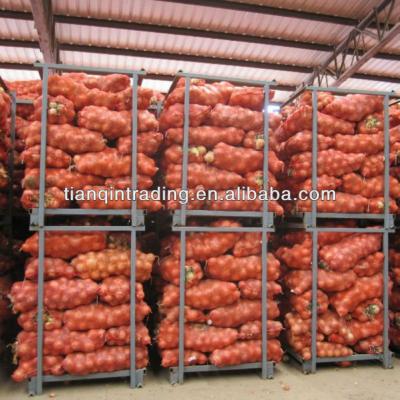 China Onion 20kg fresh fresh for sale