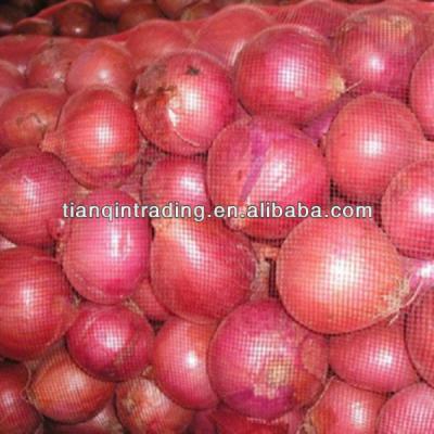 China fresh fresh onion for thailand for sale