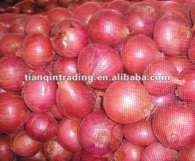 China Fresh chinese shallot for sale