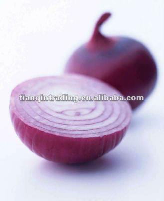 China fresh chinese fresh shallot for sale