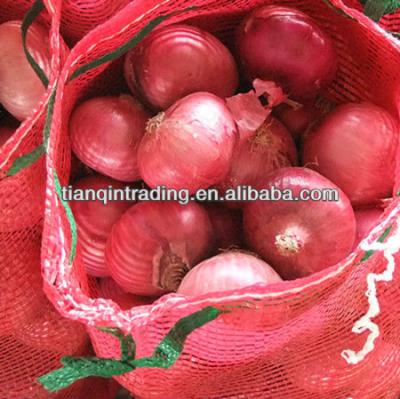 China fresh red onion supplier for sale