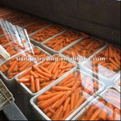 China Fresh yellow carrot for sale for sale