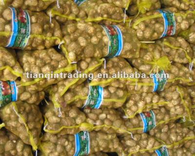 China fresh fresh taro for sale