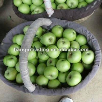 China Fresh chinese green gala apple for sale