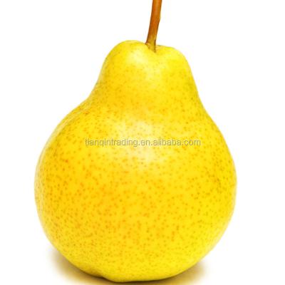 China Fresh Hebei Ya Pear Price for sale