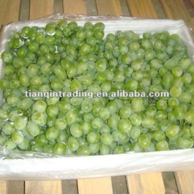 China fresh fresh green grape for sale