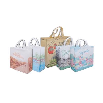 China Biodegradable Eco eco pla non woven fabric carry tote shopping bag for sale