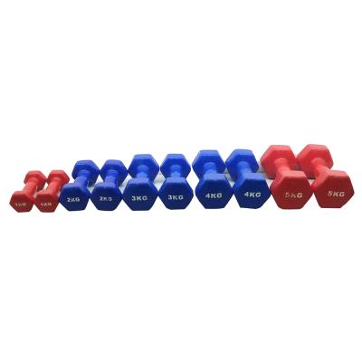 China 10kg 20kg Dumbbell Weight Neoprene Rubber Covered High Quality Vinyl Dipping Dumbbell for sale