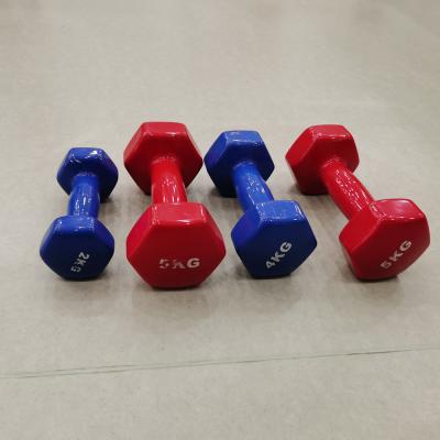 China Colorful Cheap Rubber Covered Dumbbell PVC Coated Cast Hex Vinyl Dumbbell for sale