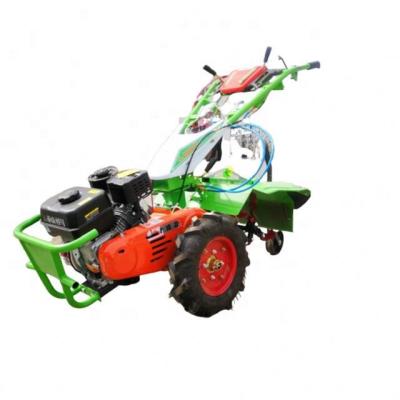 China Easy Operation Small Size Light In Weight Mower And Rotary Tiller With Low Price for sale