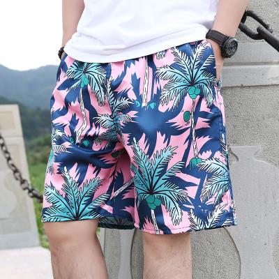 China Anti-wrinkle custom plus size mens shorts men's clothing casual wear polyester summer beach quick dry shorts for sale