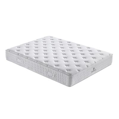 China Hypoallergenic Cheap Knitted High Qualty Fabric Hotel Queen Mattress Box Spring Pocket for sale