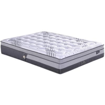 China Factory Supply Hypoallergenic Student Comfort Foam Sleeping High Density Mattress Price for sale