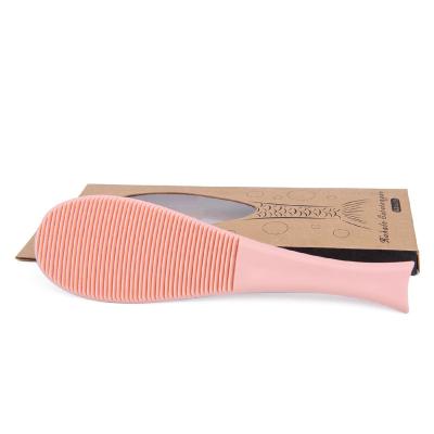 China Pretty Viable Durable Safe And Non Toxic Fish Shape Cat Tongue Comb for sale