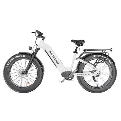 China Aluminum Alloy USA Free Shipping 48V500W customization E-Bicycle for Adults with Central Motor Disc Brake System Aluminum Alloy Frame Available for sale