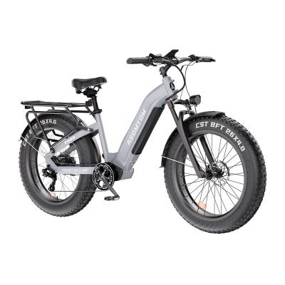 China Aluminum Alloy USA Free Shipping 48V 500W Electric Bicycle for Adults with Central Motor Disc Brake System Aluminum Alloy Frame Available for sale