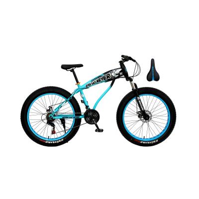 China Low price popular high quality bicycle quality twitter fat tire mountain bike for adult for sale