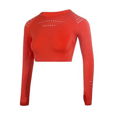 China Breathable Hole Women Yoga Thumb Fitness Seamless Crop Tops Seamless Crop Top Fitness for sale