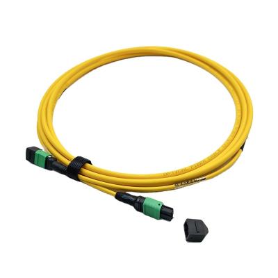 China FTTH/data center Factory SM OS1 OS2 G652D/G657A1 12 Core 24 Left Female/Male MPO/MTP 3.0mm Patch Cord Fiber Optic Cable 3M Yellow Jacket for sale