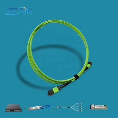 China High Quality FTTH/data center OEM LE MM OM5 12 Core MTP Female Patch Attach 1M LSZH Lime Green Single Jacket 3.0mm PolarityA for sale