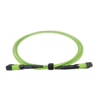 China FTTH/data center OEM low price mm OM5 12 MPO/MTP male left/female attach 1M 2M 10m OFNR lemon green single jacket 3.0mm PolarityB for sale