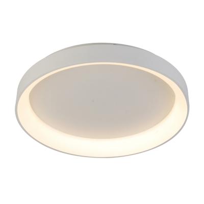 China Modern Modern Surface Installation Side Lighting Aluminum Shine Led Light Ceiling Lamp for sale