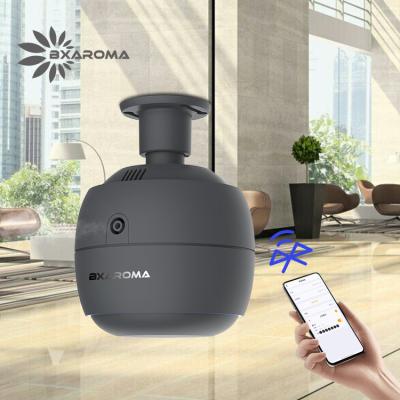 China Commercial Usb Aroma Diffuser Electric Nebulizer Customized Popular for sale