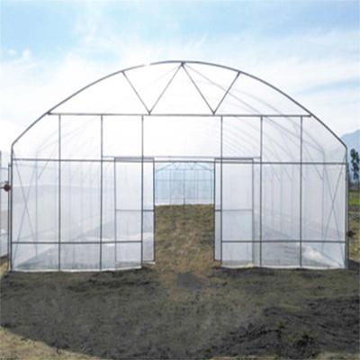 China UV/AF/AD/IR Agricultural Commercial Multi Span Tunnel Film Greenhouse With Hydroponic System for sale