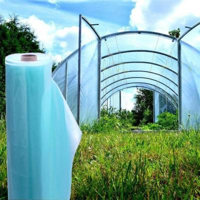 China UV/AF/AD/IR Low Density Anti Drip Greenhouse Plastic Sheet Agricultural UV Treated Polyethylene Plastic Sheeting for sale