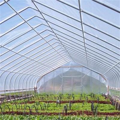 China 200 Micron UV/AF/AD/IR UV Resistant Agricultural Greenhouse Plastic Covering Film For Vegetables for sale