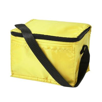 China High Quality Thermal Preferential Price Cooler Bags for sale