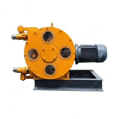 China Easy Operation Motor Hose Electric Pump Industrial Peristaltic Pump For Drug Liquids Transportation for sale