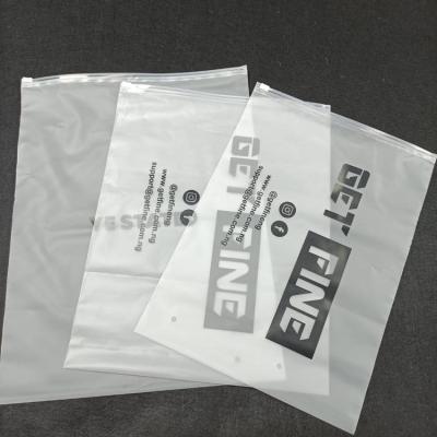 China Recyclable Logo Clear Matte Zip Lock Custom Plastic Underwear Zipper Bikini Swimming Clothes Packaging Bag for sale